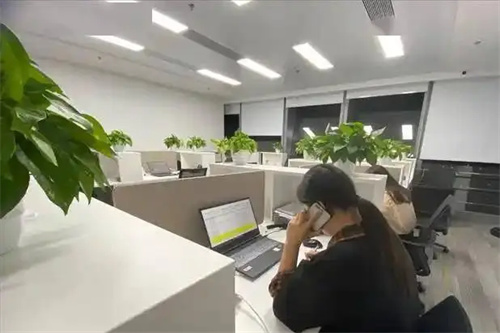 图片细节说明